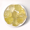 Natural Rough Raw Citrine Display Decorations G-PW0007-151A-1