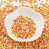 Baking Paint Glass Seed Beads X-SEED-S042-05B-44-2