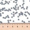 MIYUKI Round Rocailles Beads X-SEED-G008-RR2426-4