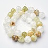 Natural Gemstone Beads Strands GSR12mmC008-3