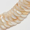 Natural Sea Shell Beaded Necklaces NJEW-L096-13A-2
