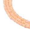 Natural Freshwater Shell Beads Strands SHEL-P017-01A-12-3