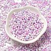 Baking Paint Glass Seed Beads SEED-F005-01A-05-2