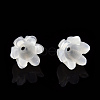 Natural White Shell Bead Caps SSHEL-N032-58A-4