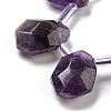 Natural Amethyst Beads Strands G-Z040-A10-01-4