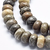 Natural Fossil Coral Beads Strands G-K256-10D-3
