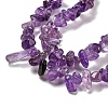 Natural Amethyst Beads Strands G-G0003-B44-4