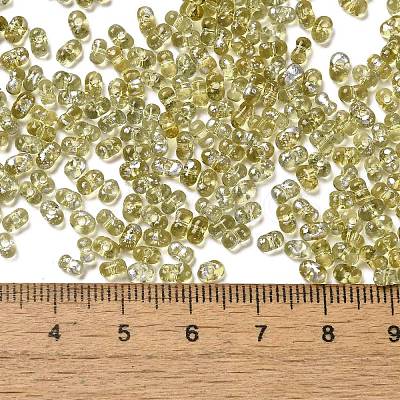 Spray Painted Glass Seed Beads SEED-F005-02A-04-1