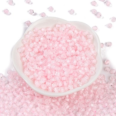 Glass Seed Beads SEED-A032-05L-1