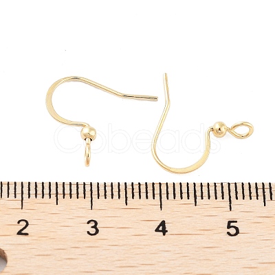 316 Surgical Stainless Steel Earring Hooks STAS-K274-10G-1