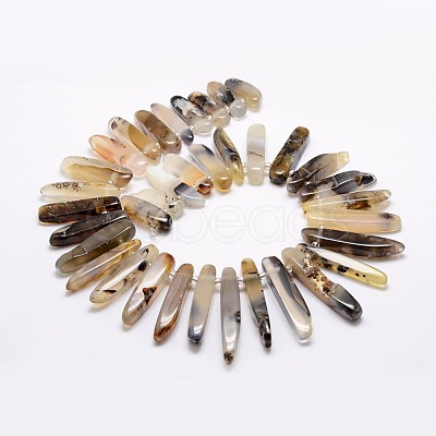 Natural Dendritic Agate Bead Strands G-A171-12-1