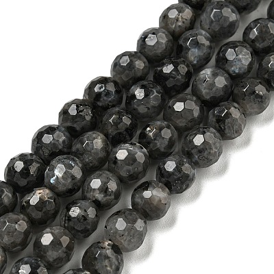 Natural Larvikite Beads Strands G-E571-A09-01-1