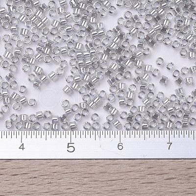 MIYUKI Delica Beads Small X-SEED-J020-DBS0114-1