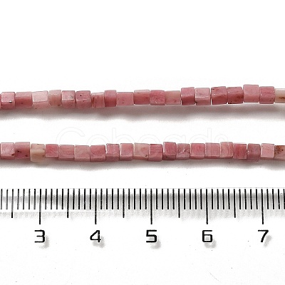 Natural Rhodonite Beads Strands G-B064-A08-1