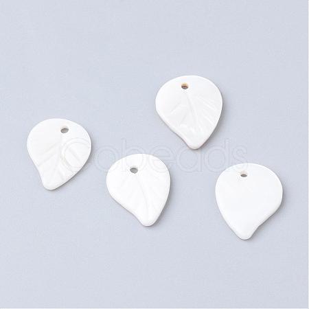 Freshwater Shell Pendants SHEL-S249-11-1