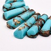 Assembled Bronzite and Synthetic Turquoise Beads Strands G-P298-F01-2