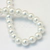 Baking Painted Glass Pearl Bead Strands HY-Q003-5mm-01-4