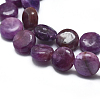 Natural Lepidolite/Purple Mica Stone Beads Strands G-F626-04-2