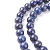 Natural Lapis Lazuli Beads Strands G-K311-14-2
