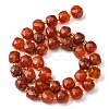 Natural Carnelian Beads Strands G-Q010-A17-01-3