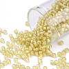 TOHO Round Seed Beads SEED-TR08-0948-1