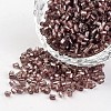 8/0 Two Cut Silver Lined Round Hole Glass Seed Beads SEED-I005-56-1