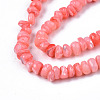 Natural Sea Shell Beads Strands SSHEL-S278-131F-3