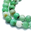 Natural Chrysoprase Beads Strands G-K245-A12-05-3