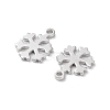 Rhodium Plated 925 Sterling Silver Charms STER-C003-18P-2