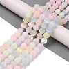 Macaron Color Natural Selenite Beads Strands G-Q162-A01-02C-02-2