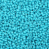 Baking Paint Glass Seed Beads SEED-S002-K10-2