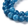 Dyed Natural Malaysia Jade Beads Strands G-G021-02B-10-4