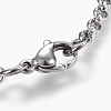 304 Stainless Steel Rolo Chain Necklaces NJEW-F242-12P-A-3