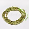 Faceted Rondelle Natural Green Garnet Beads Strands G-F289-40B-2