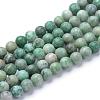 Natural Qinghai Jade Beads Strands G-T055-8mm-16-1