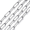 Unwelded Iron Paperclip Chains CH-S125-17A-01-1