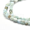 Natural Larimar Beads Strands G-P302-02-3