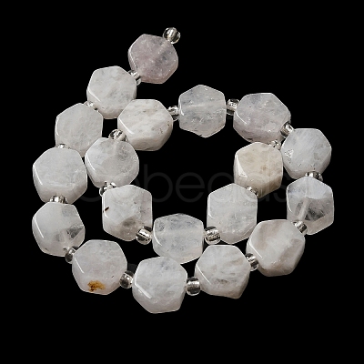 Natural Rainbow Moonstone Beads Strands G-P534-A06-01-1