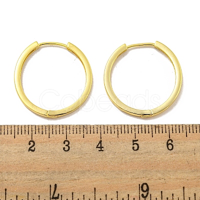 Brass Hoop Earrings EJEW-L211-08D-G-1