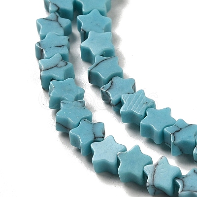 Dyed Synthetic Turquoise Beads Strands G-G085-B32-01-1