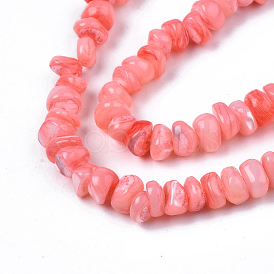 Natural Sea Shell Beads Strands SSHEL-S278-131F-1