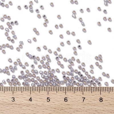 TOHO Round Seed Beads SEED-JPTR08-PF2122-1