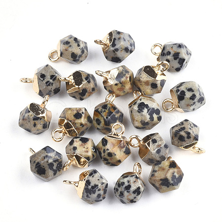 Electroplate Natural Dalmatian Jasper Star Cut Round Charms G-S344-08D-1