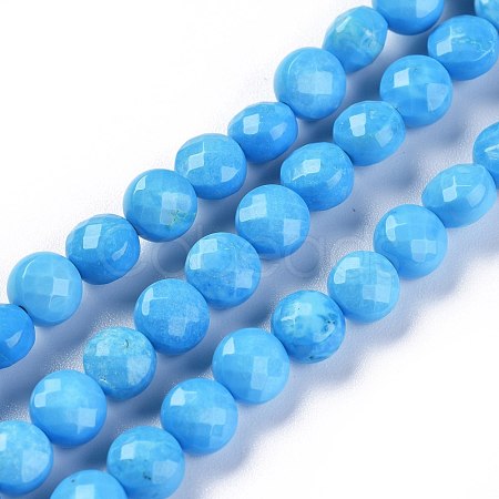 Natural Howlite Beads Strands TURQ-F017-03C-01-1