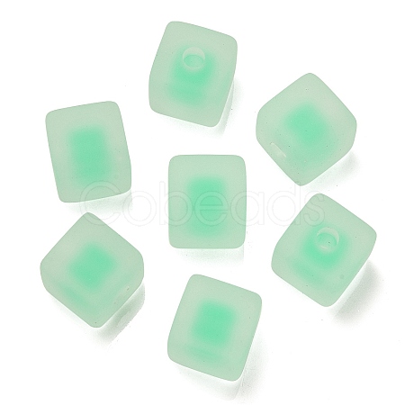Frosted Acrylic European Beads OACR-G012-14B-1