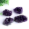 Natural Drusy Amethyst Display Decorations, Raw Amethyst Cluster, Nuggets, 40~90mm, 20~30g/pc