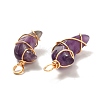 Natural Amethyst Pendants PALLOY-JF00931-01-2