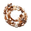 Natural Sea Shell Beads Strands SHEL-K006-16A-2