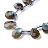 Natural Labradorite Beads Strands G-I246-09-A-3