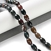 Natural Indian Agate Beads Strands G-I369-B09-01-2